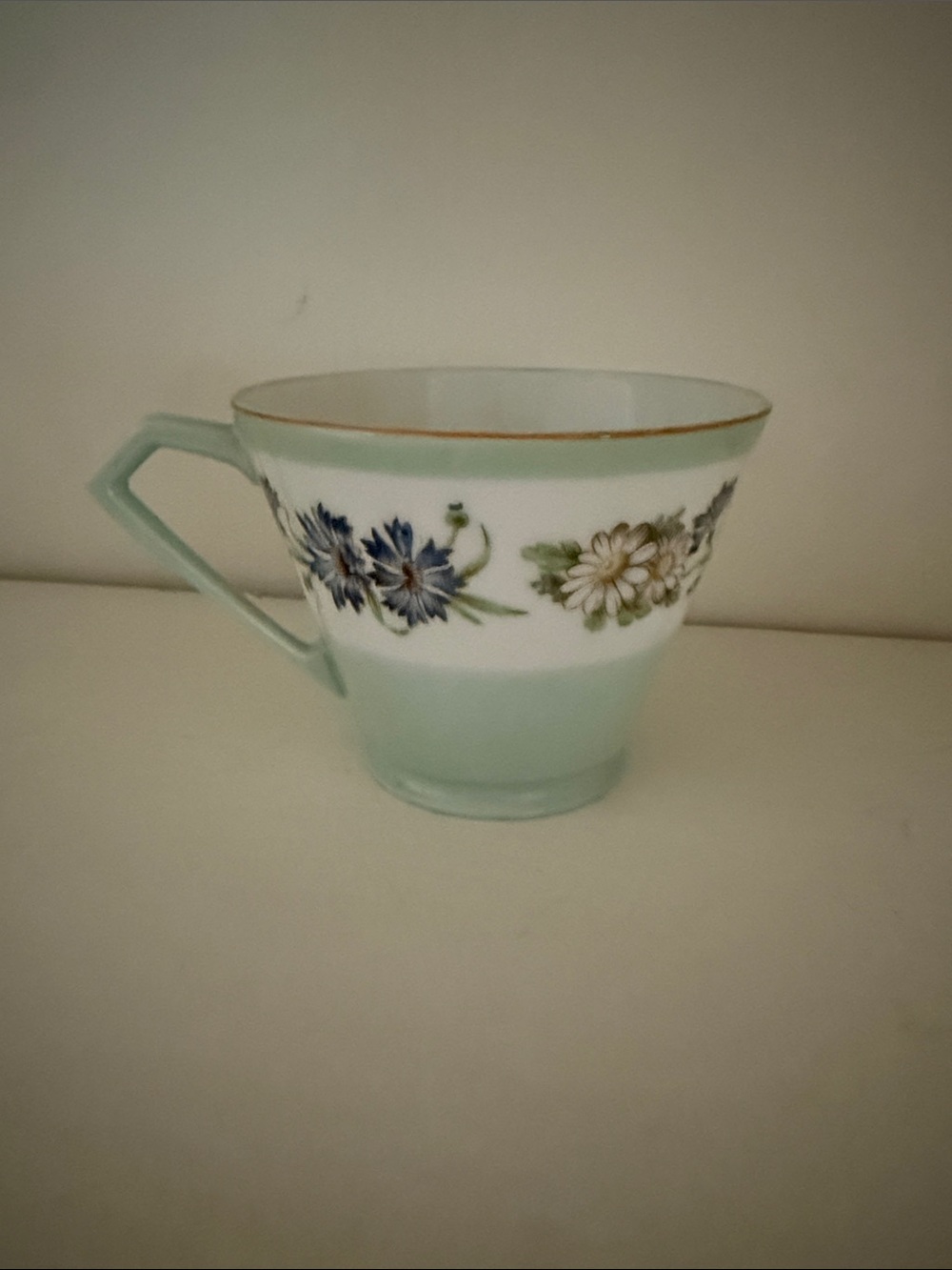Noritake Mint Green Floral Porcelain Teacup with Gold Rim